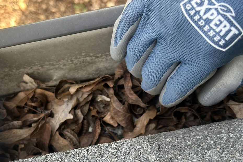 Gutter Cleaning Spring Hill