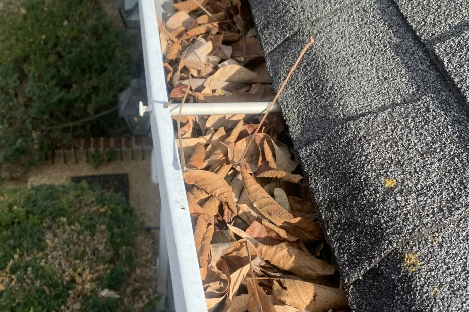 Gutter Cleaning Spring Hill