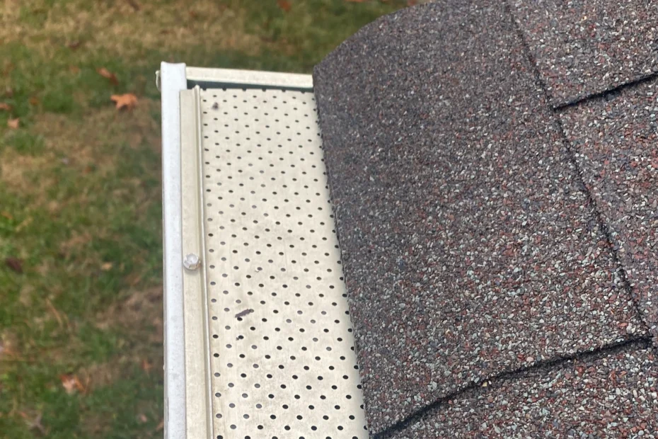 Gutter Cleaning Spring Hill