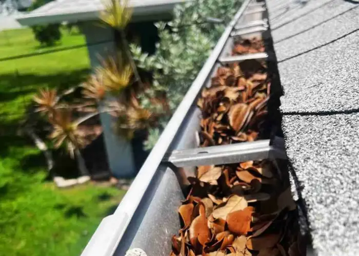 Gutter Cleaning Spring Hill home page